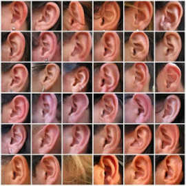 collage-of-ears